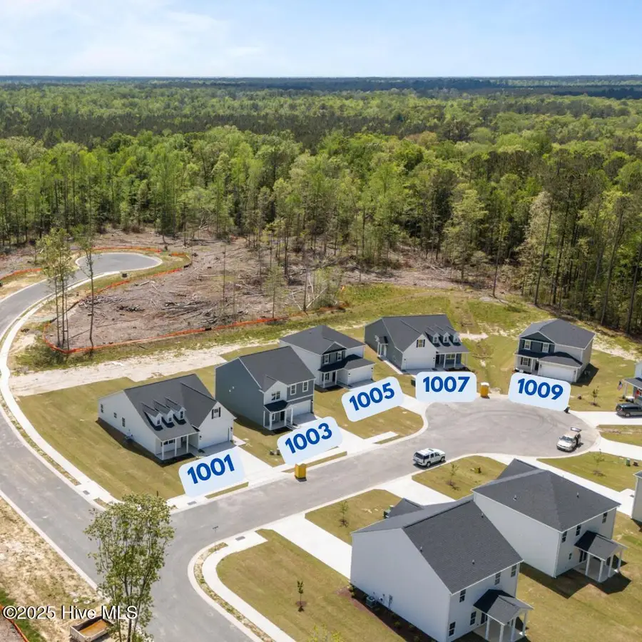 1003 Tawney Trace, New Bern, NC 28562 - #2
