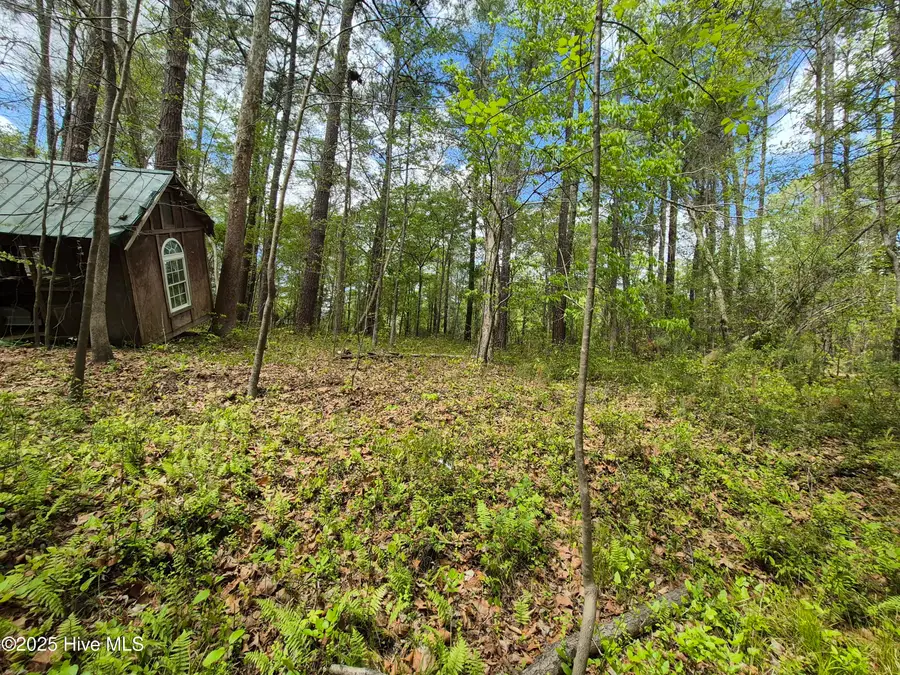 286 Trent Acres Drive, Pollocksville, NC 28573 - Image #3