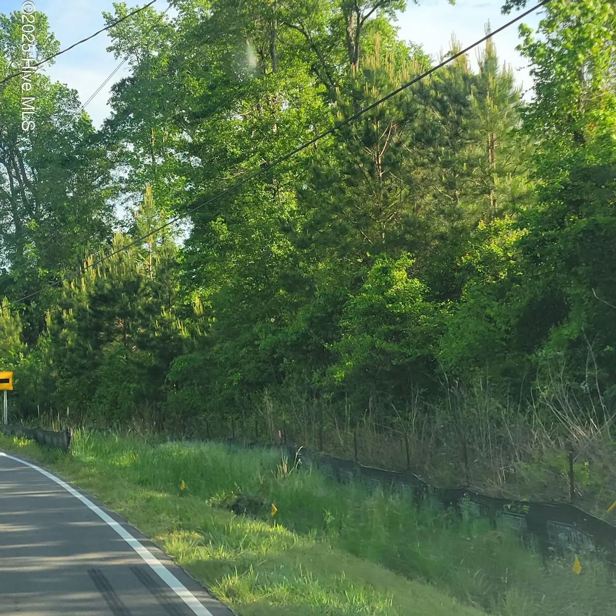 Lots N Wright Street, Burgaw, NC 28425 - Image #1