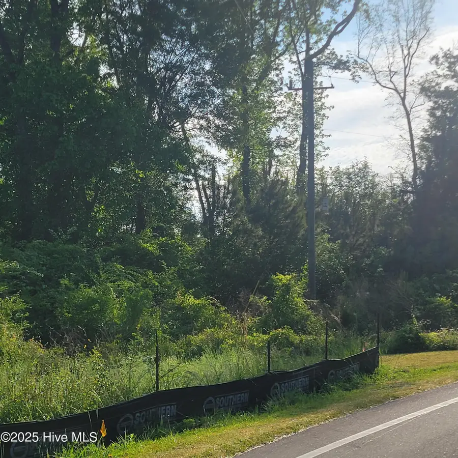 Lots N Wright Street, Burgaw, NC 28425 - Image #3