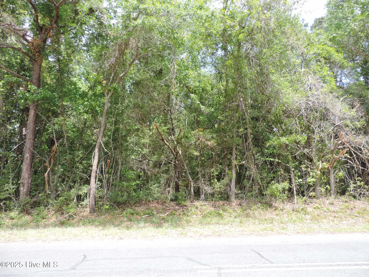 290 Perrytown Loop Road, New Bern, NC 28562 - Image #1