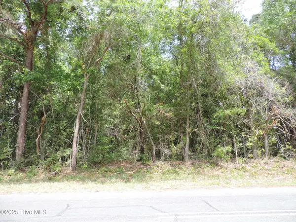 290 Perrytown Loop Road, New Bern, NC 28562