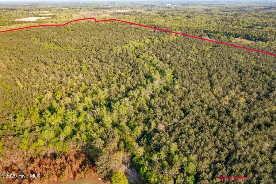 0 Streets Ferry Road, Vanceboro, NC 28586 - Image #3