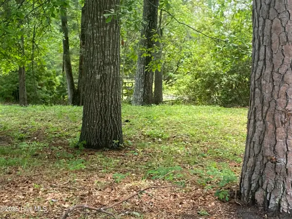 165 Hawks Pond Road, New Bern, NC 28562