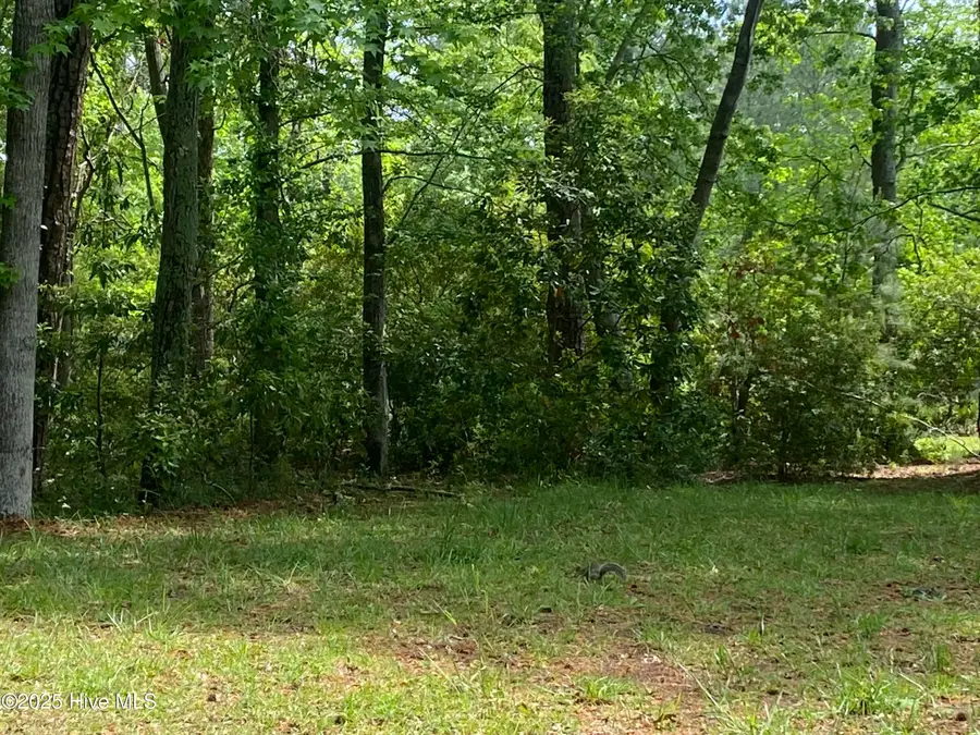 165 Hawks Pond Road, New Bern, NC 28562 - #3