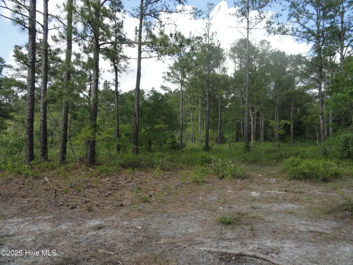 1 River Trail Lot 1, Burgaw, NC 28425 - Image #1