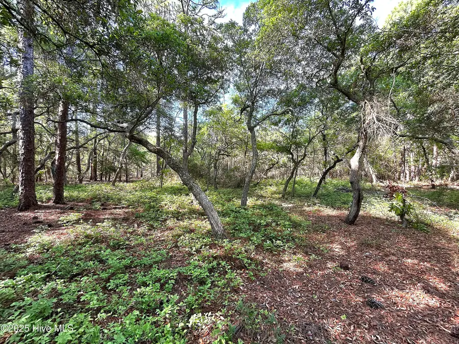 2329 Stanley Road Sw, Supply, NC 28462 - #2