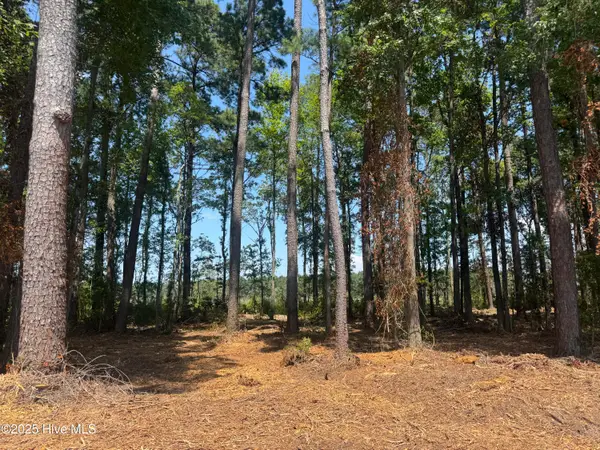 4102 Near 4102 Swamp Fox Highway W, Tabor City, NC 28463