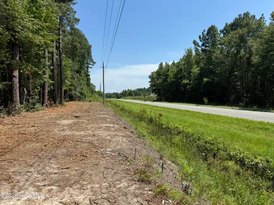 4102 Near 4102 Swamp Fox Highway W, Tabor City, NC 28463 - Image #3