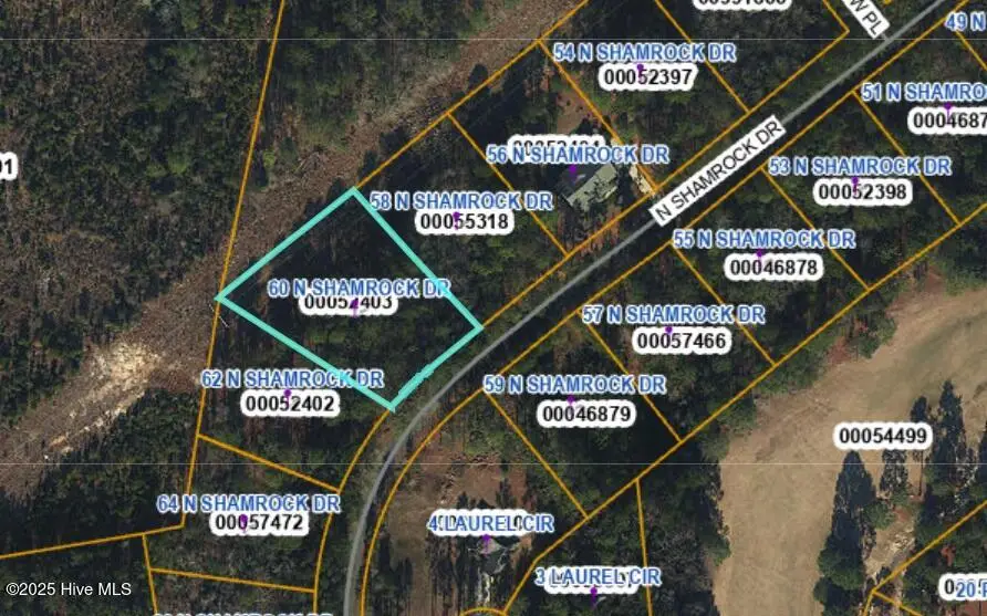 60 N Shamrock Drive, Jackson Springs, NC 27281 - Image #1
