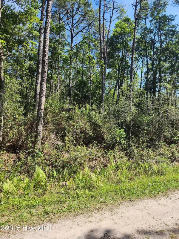 Lot 60 Drake Road, Boiling Spring Lakes, NC 28461
