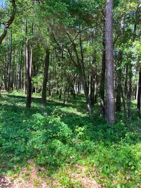 3287 Mooring Drive Se, Bolivia, NC 28422 - #1