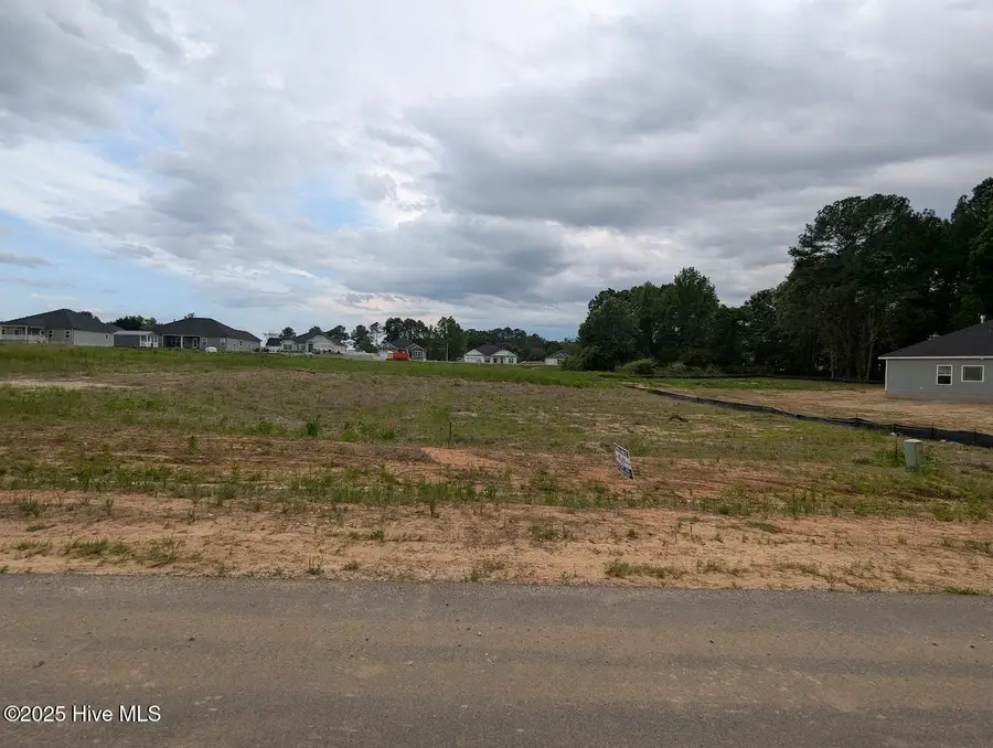 1640 Pecan Drive #Lot 44, Nashville, NC 27856 - Image #3