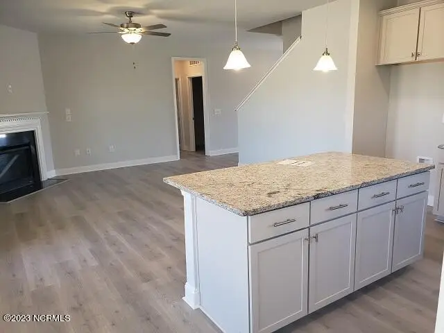 3150 Firefly Trail, Grimesland, NC 27837 - Image #3