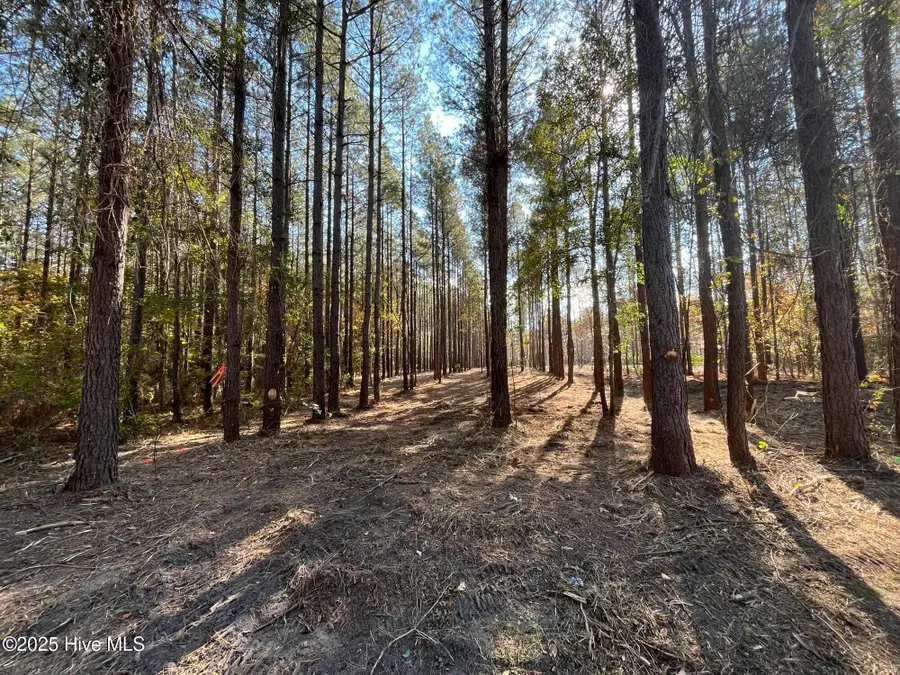 3227 Lee Landing Road, New Bern, NC 28560 - Image #2