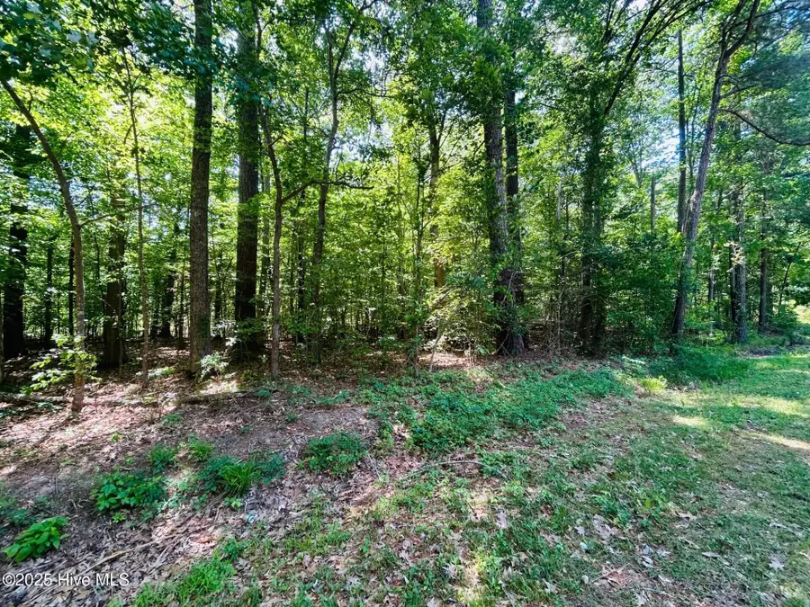 51 E Inlet Circle, Hertford, NC 27944 - Image #2