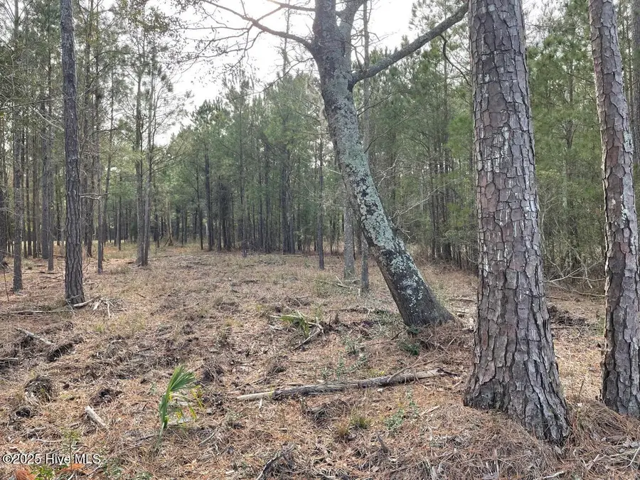 257 Garbacon Drive Drive, Beaufort, NC 28516 - Image #3