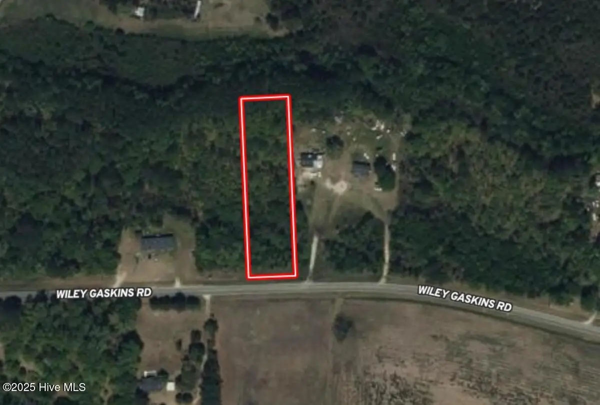 0 Wiley Gaskins Road, Grifton, NC 28530 - #1