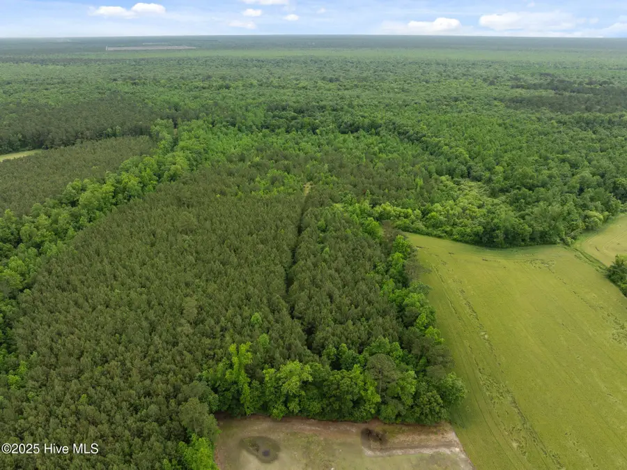 Tbd Nc-50, Wallace, NC 28466 - Image #2