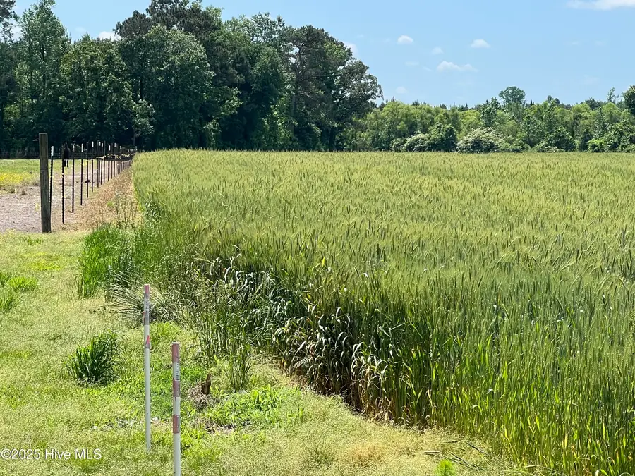 Tbd Nc-50, Wallace, NC 28466 - Image #3