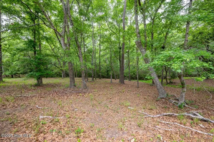 Lot 21 Bay Creek Drive, Shallotte, NC 28470 - Image #2