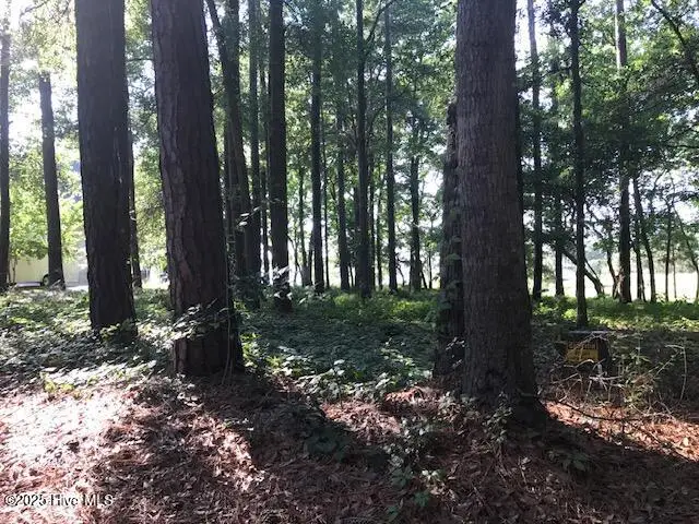 3247 Mullet Creek Place Se, Bolivia, NC 28422 - #2