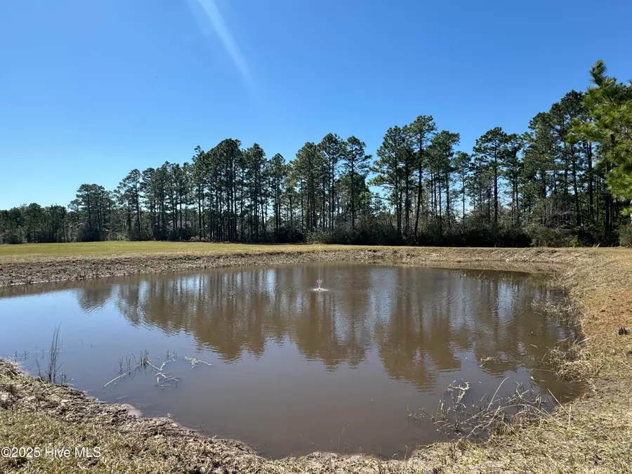 4 Green Hill Road Ne, Leland, NC 28451 - #3