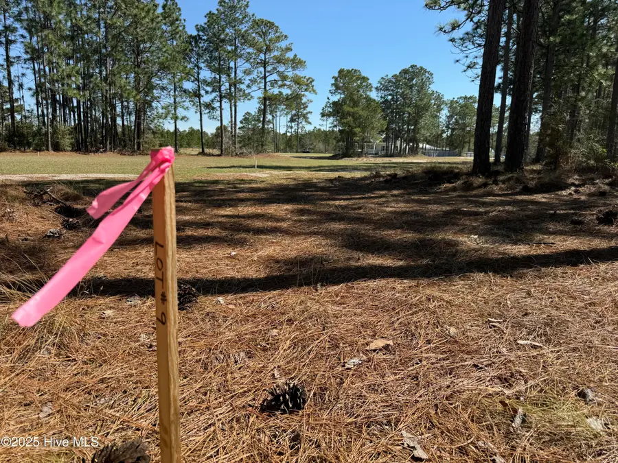 8 Green Hill Road Ne, Leland, NC 28451 - #2