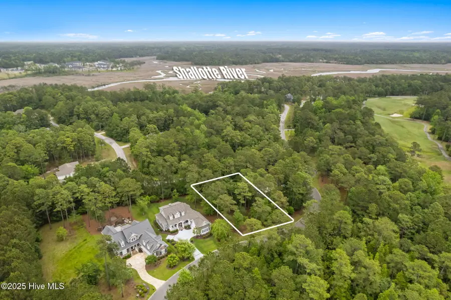 310 Bay Hill Court, Shallotte, NC 28470 - Image #3