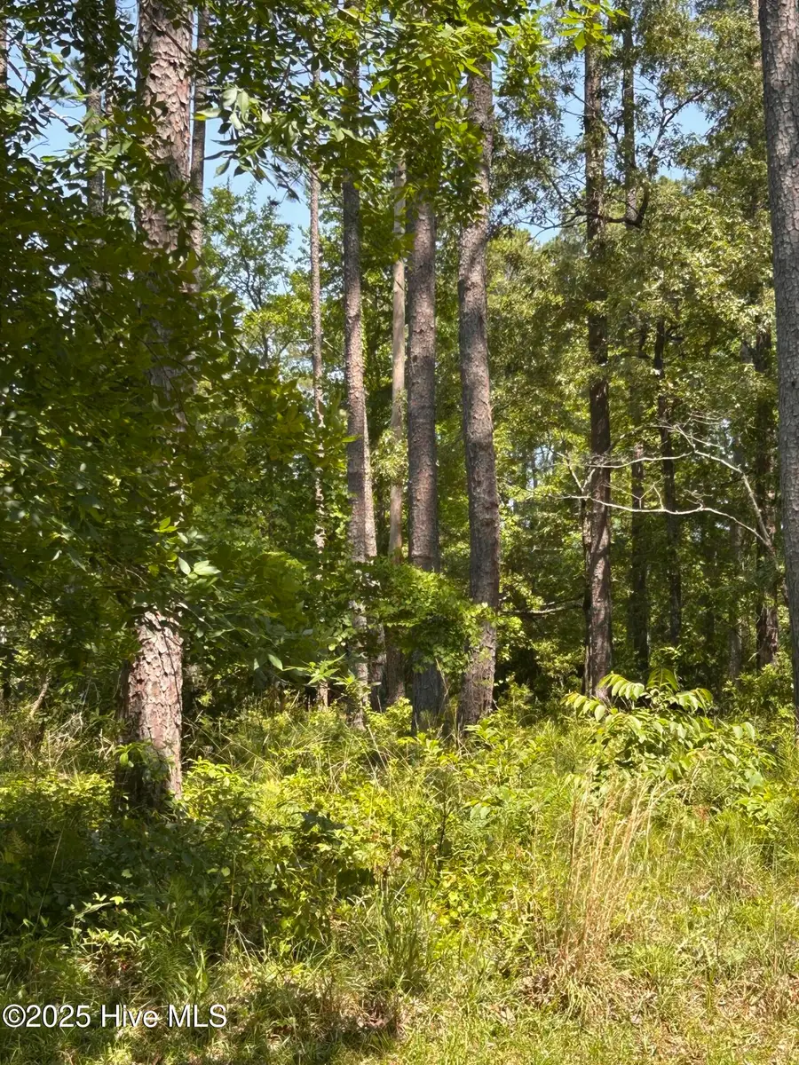 135 Martin Creek Drive, Beaufort, NC 28516 - Image #2