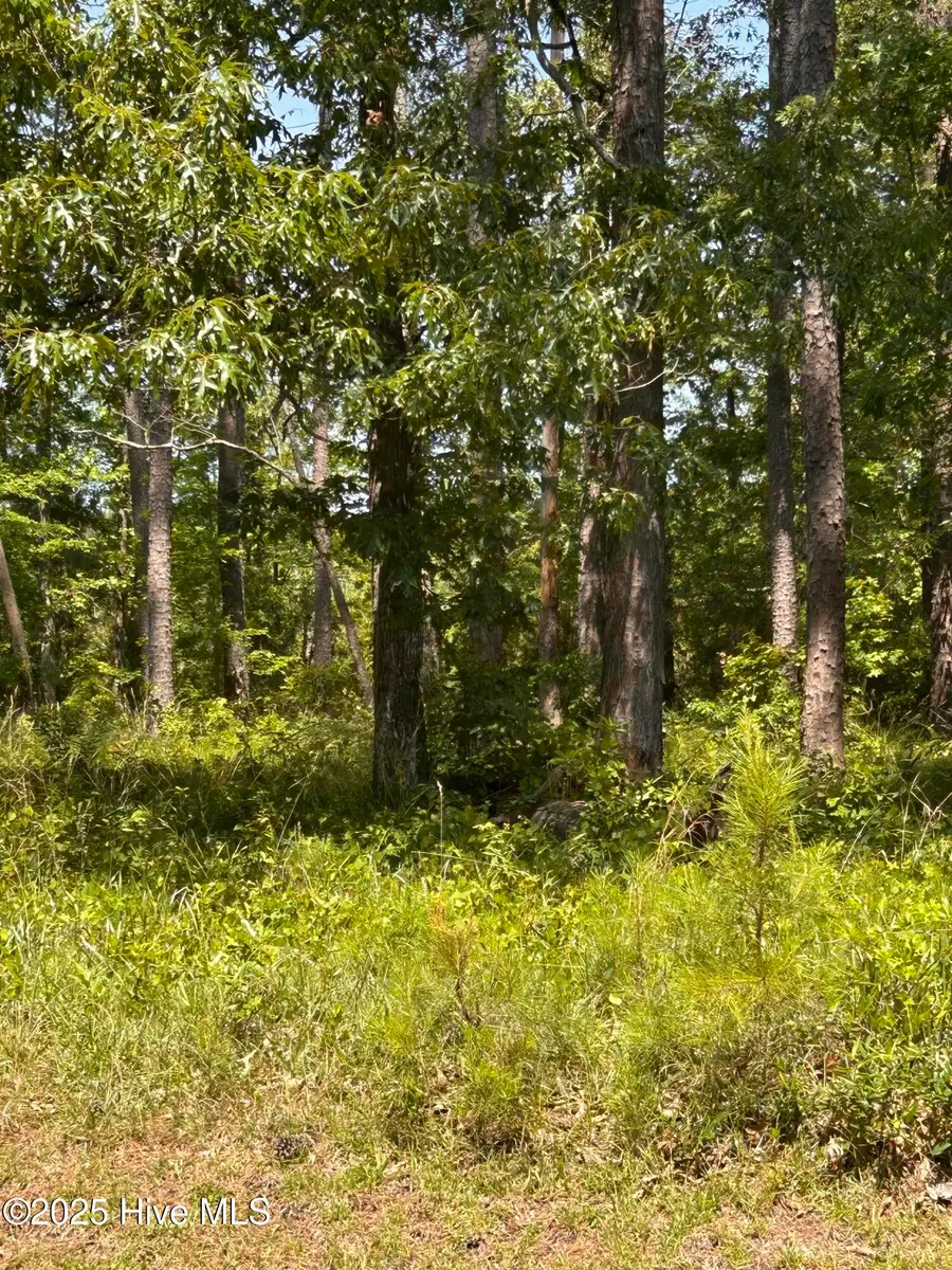 135 Martin Creek Drive, Beaufort, NC 28516 - Image #3