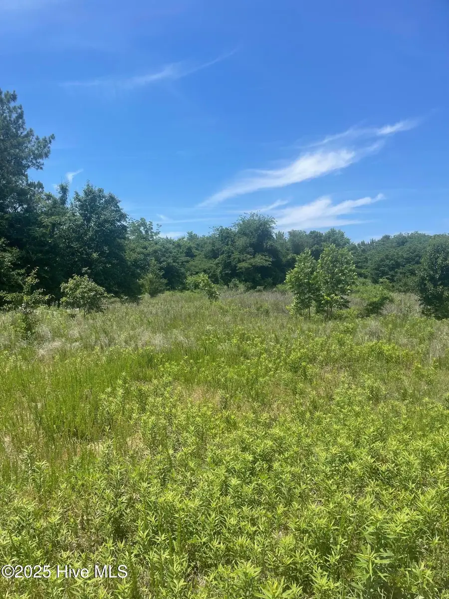 0 Easy Street, La Grange, NC 28551 - Image #3