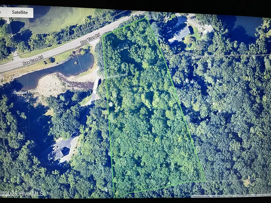 1229 Bee Tree Road, Swannanoa, NC 28778 - Image #3