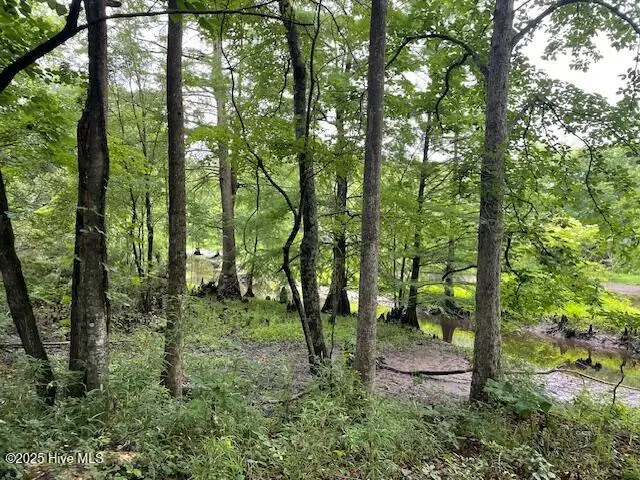 62 Live Oak Drive, Elizabethtown, NC 28337 - Image #2