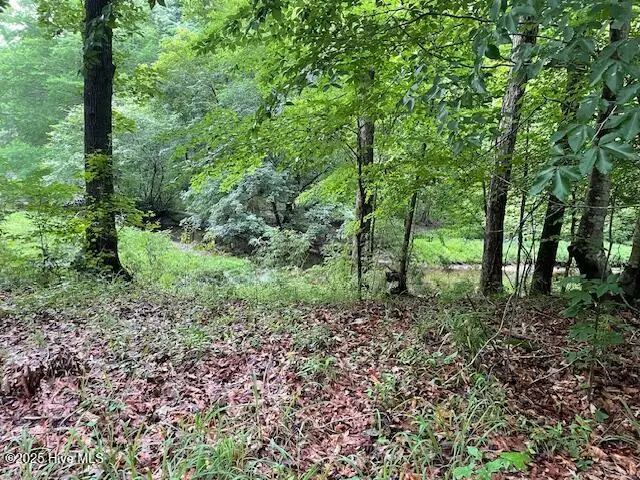 62 Live Oak Drive, Elizabethtown, NC 28337 - Image #3