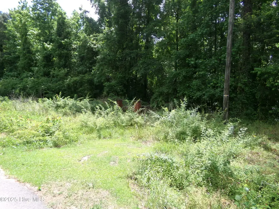 .. Nc 242 Highway S, Bladenboro, NC 28320 - Image #2