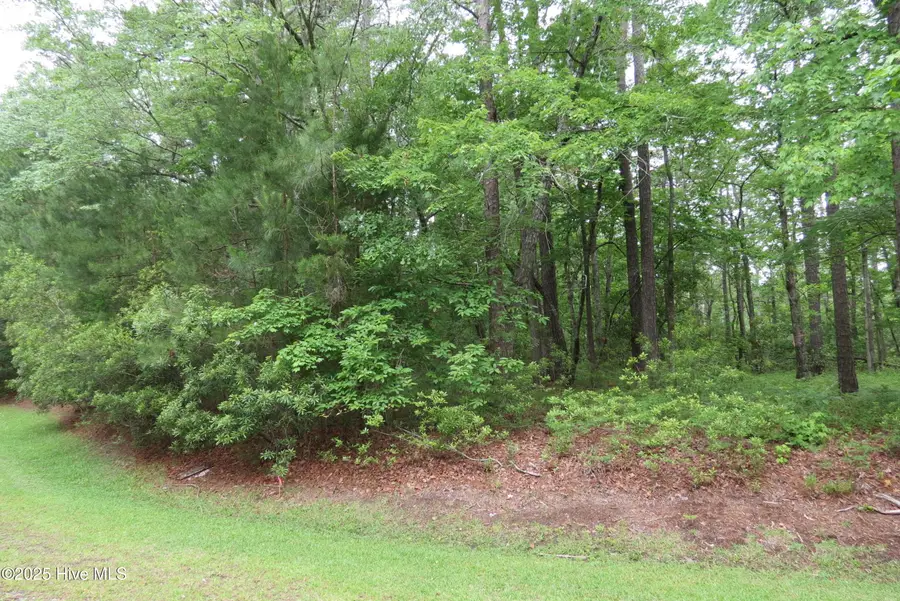 117 Shoreline Court, Oriental, NC 28571 - Image #3