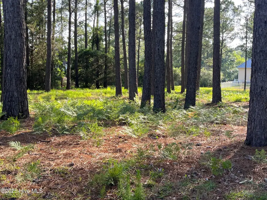 3518 Scupper Run Se, Southport, NC 28461 - #2