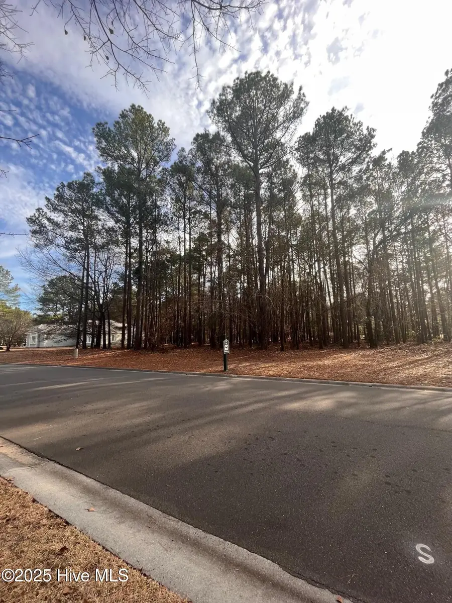 264 Red Fox Run Drive, Wallace, NC 28466 - Image #2