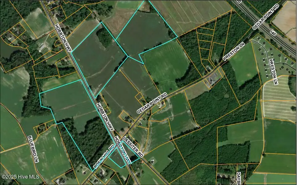 0 Hobbton Highway, Newton Grove, NC 28366 - Image #1