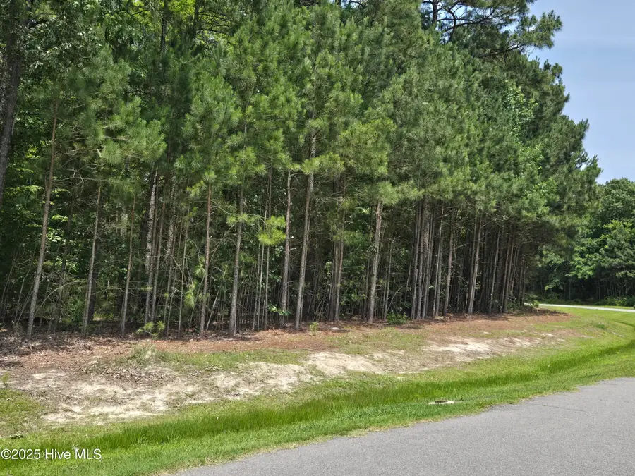 66 Standard Bred Way, Hertford, NC 27944 - Image #2