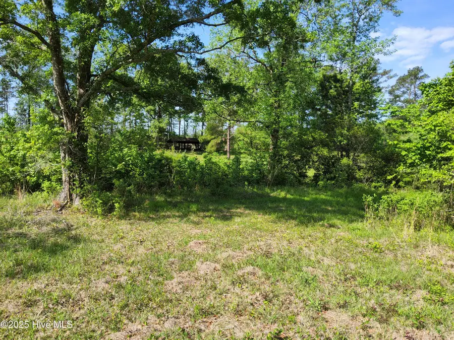 Lot 0 State Hwy 210, Hampstead, NC 28443 - Image #3