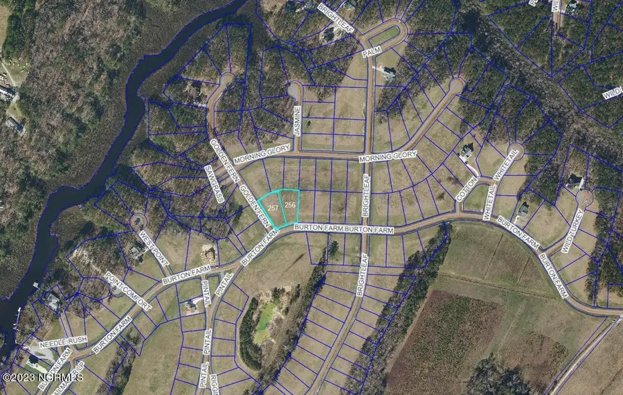 494 W Burton Farm Drive, Minnesott Beach, NC 28510 - Image #3