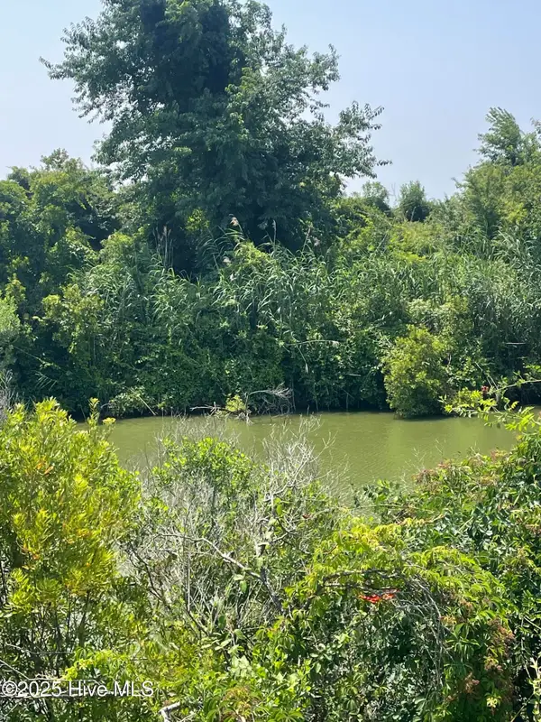 Lot 204a Sandpiper Drive, Hertford, NC 27944