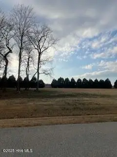 117 Swan View, Merry Hill, NC 27957 - Image #3