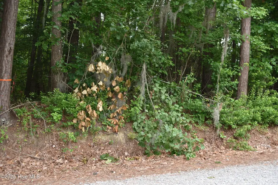 Lots 2 & 3 River Road, Blounts Creek, NC 27814 - Image #2