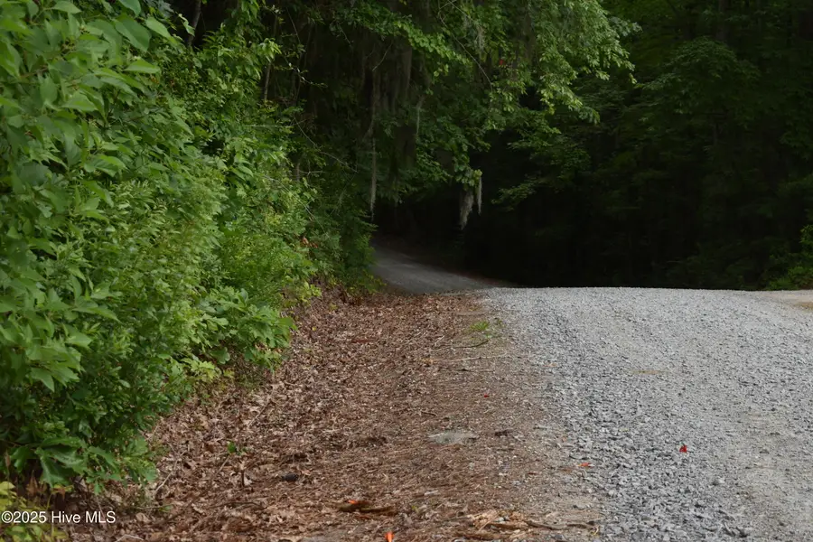 Lots 2 & 3 River Road, Blounts Creek, NC 27814 - Image #3