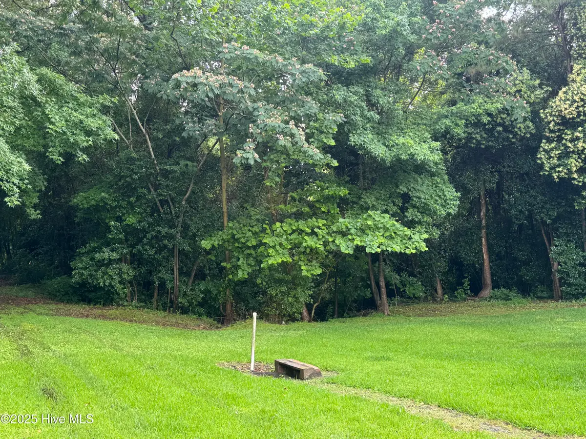 7569 Carey Road, Kinston, NC 28504 - Image #1