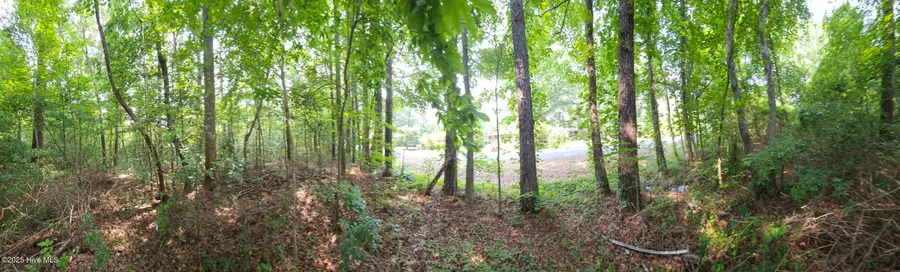 0 Sr 1184, Chocowinity, NC 27817 - Image #2