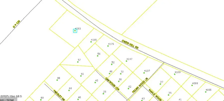 4283 Owen Hill Road, Elizabethtown, NC 28337 - Image #2